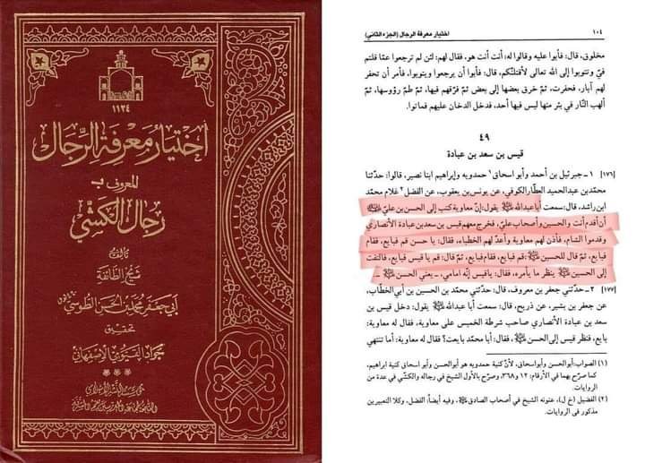 سیدنا امام حسن مجتبیٰ رضی اللہ تعالیٰ عنہ اور سیدنا امیر معاویہ رضی اللہ تعالیٰ عنہ کی بیعت: منکرینِ بیعت کے دعوے کا علمی جائزہ
